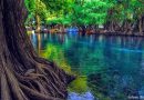 UN LAGO QUE NACIÓ DE LAS LÁGRIMAS DE UNA DONCELLA