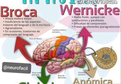 <strong>La Ciencia Detrás de las Decisiones de Compra: Cómo Hacer que Tu Audiencia Se Imaginen Usando Tu Producto”</strong>
