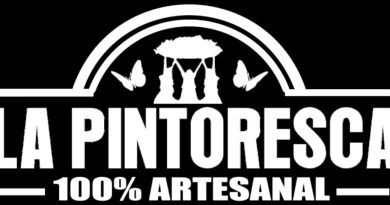 Las Pintorescas Papá Dorada: el sabor artesanal que está conquistando la ciudad Las Pintorescas Papá Dorada: el sabor artesanal que está conquistando la ciudad